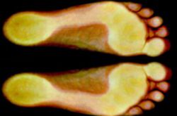 Flip-Flop Scanabdruck